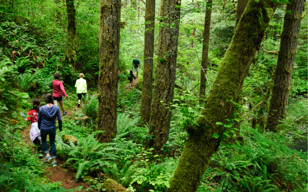 Глухие тропики. Ecotourism GITR. Pacific Northwest. What is Ecotourism.