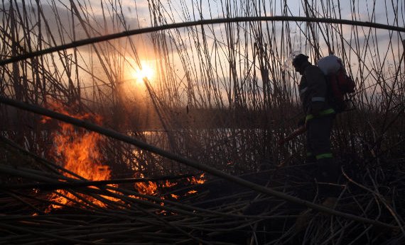 Пожарный тушит лесной пожар