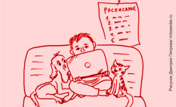 Рисунок Дмитрия Петрова. Мальчик с ноутбуком сидит на диване, рядом кошка и собака. На стене висит расписание