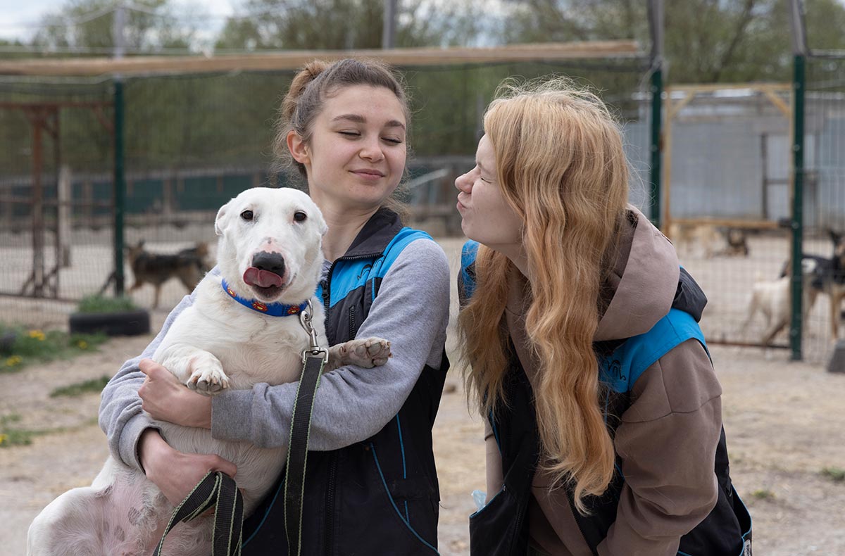 «Своих не бросаем»: истории людей, которые уехали из России с домашними животными | Такие дела