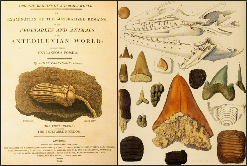 Репродукция фронтисписа первого тома «Органических останков прежнего мира» Джеймса Паркинсона, опубликованного между 1804 и 1811 годами