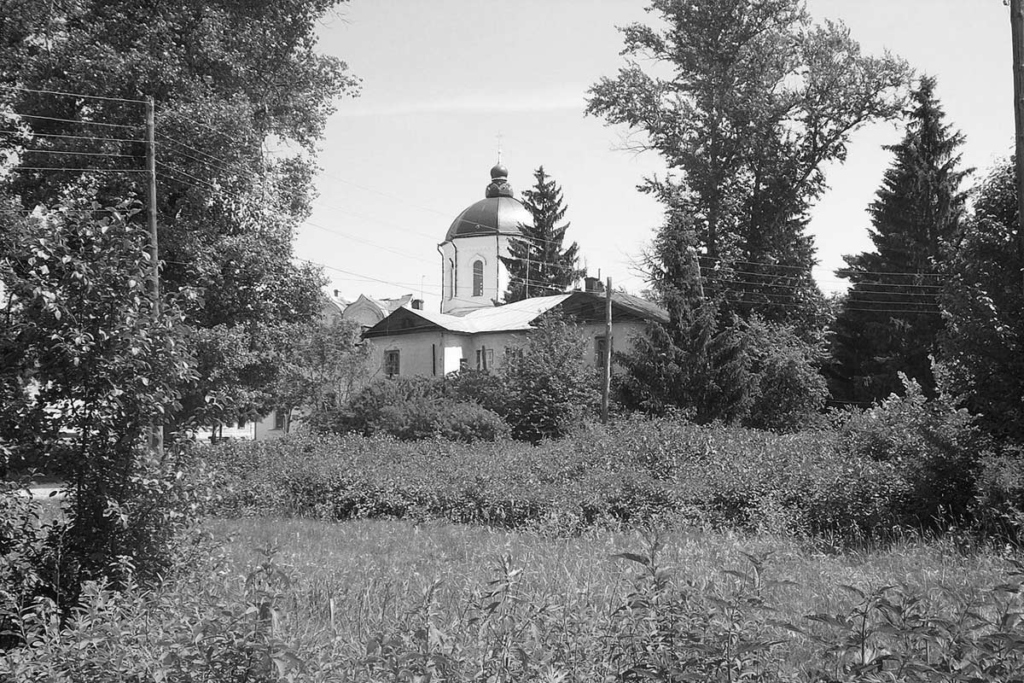 Толшевский Спасо-Преображенский монастырь, современный вид  